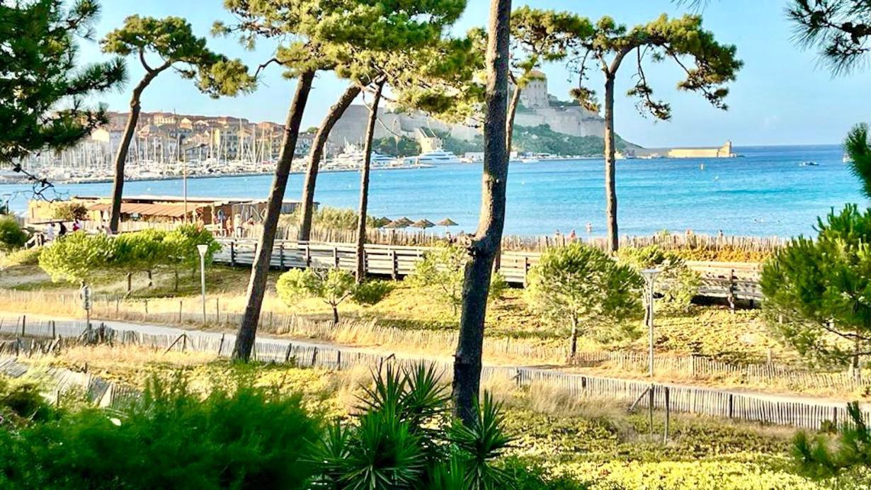 Appartement Ou Studio La Mer & La Plage A Vos Pieds Calvi Calvi  Extérieur photo